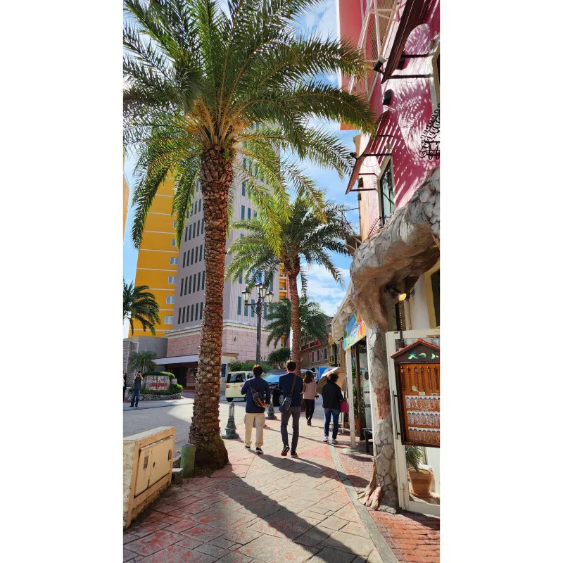 Palm-lined street with colorful buildings in American Village Chatan Okinawa