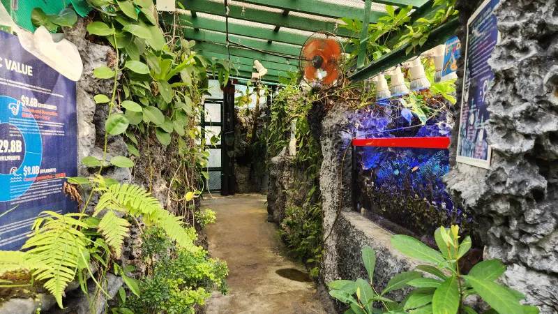 Indoor corridor with aquariums and tropical plants at Yomitan Coral Farm