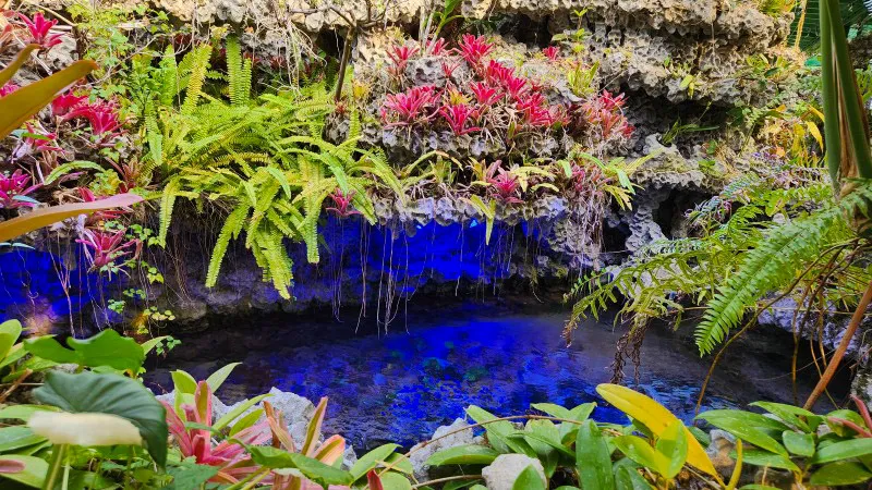 Tropical plants and coral rock wall with blue-lit pond at Yomitan Coral Farm