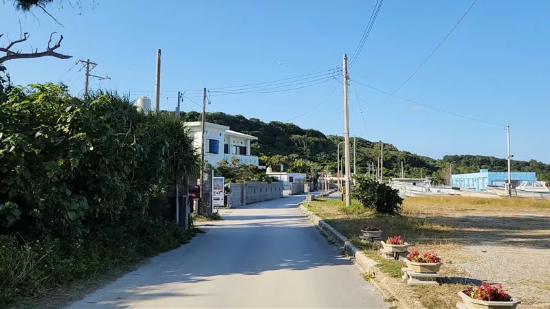 Route étroite pavée bordée de maisons et de végétation tropicale à Hamahigajima