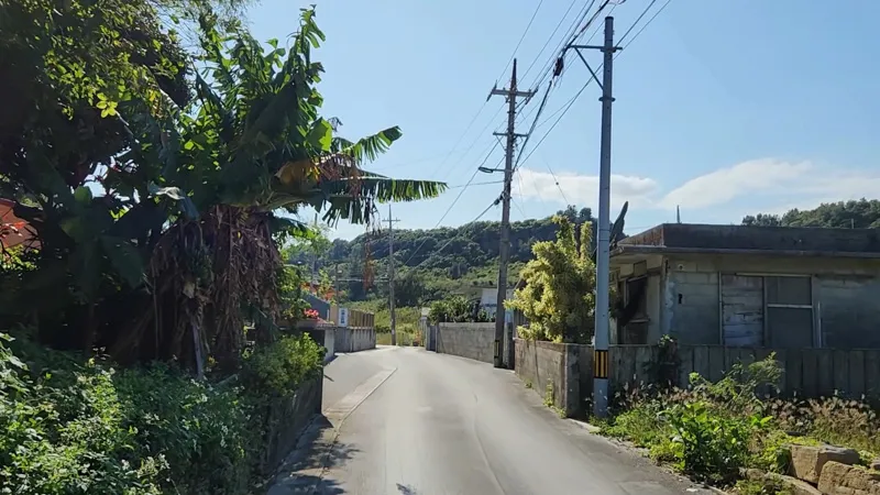 Petite route rurale bordée de bananiers et de maisons locales à Hamahigajima