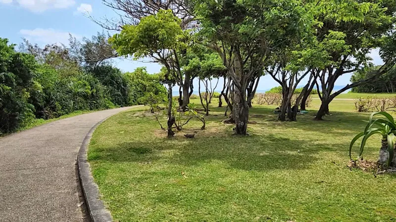 Walking path through a grove at Kitanakagusuku Sports Park Okinawa
