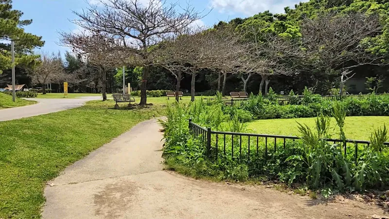 Benches under trees along a path at Kitanakagusuku Sports Park Okinawa