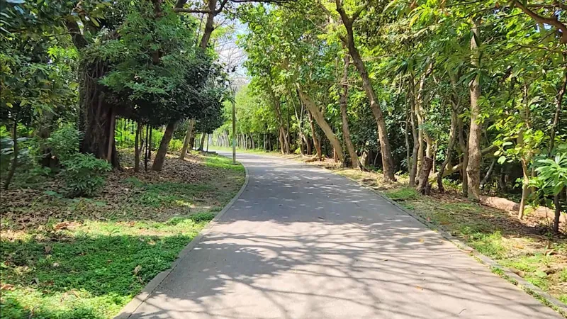 Shaded walkway lined with trees at Kitanakagusuku Sports Park Okinawa