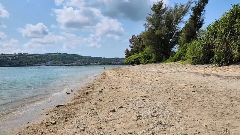 Beach lined with tropical vegetation in Kitanakagusuku Okinawa