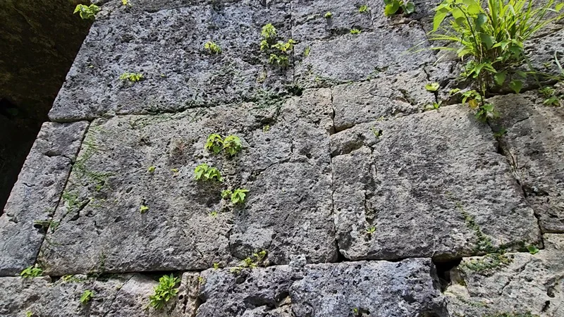 Nuno-zumi stone wall with rectangular coral limestone blocks at Nakagusuku Castle