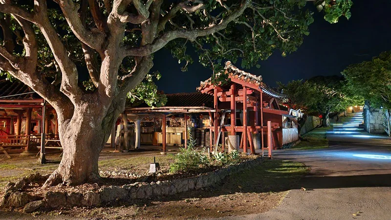 Night view of tree and traditional gate at Murasaki Mura in Okinawa
