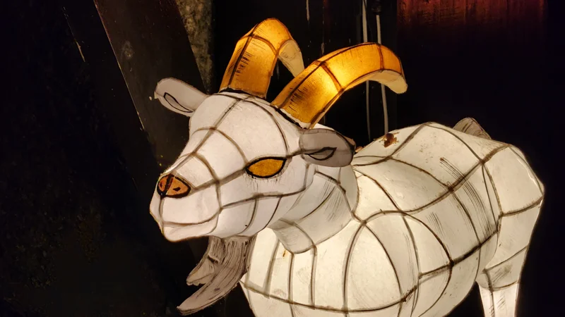 Side view of Kata Ashi Pinza goat yokai lantern with glowing horns at the Ryukyu Yokai Festival