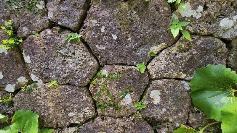Aikata-zumi polygonal stone wall at Nakagusuku Castle ruins