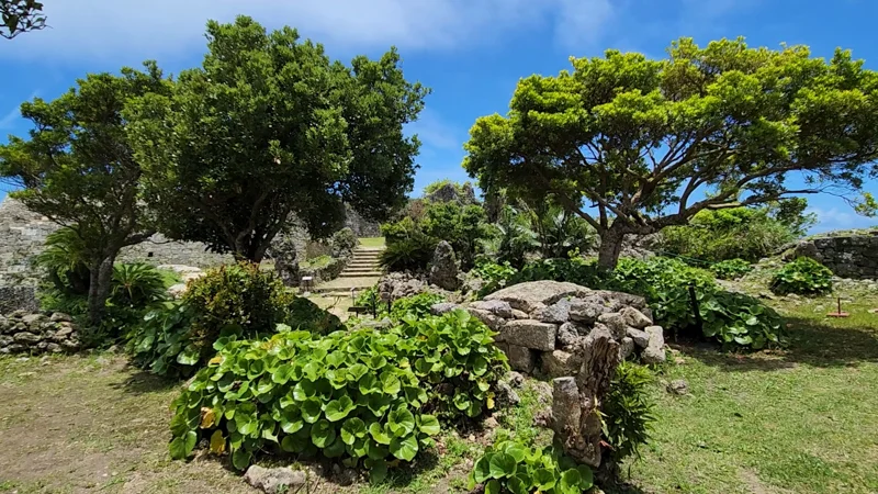 Green trees and pathway with stone steps at Nakagusuku Castle ruins