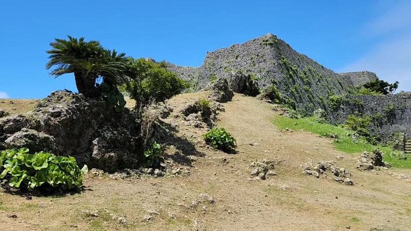 Stone wall and tropical vegetation at Nakagusuku Castle ruins in Okinawa