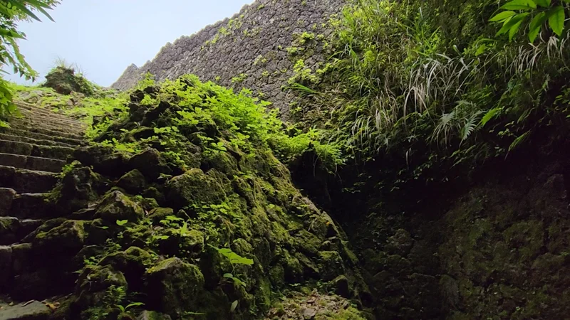 Nozura-zumi mossy stone steps at Nakagusuku Castle ruins in Okinawa