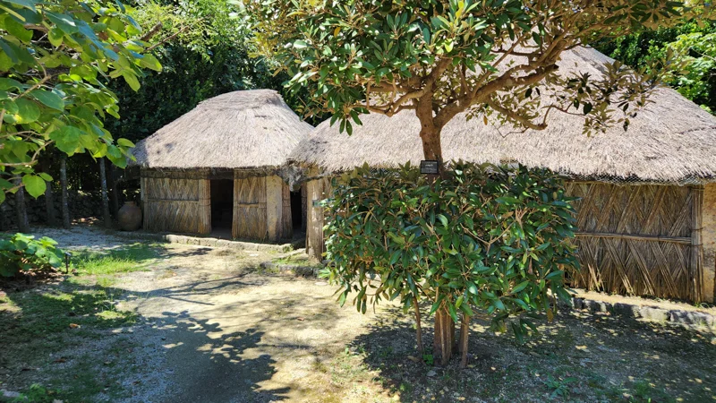 Traditional thatched houses surrounded by trees at Native Okinawa Village