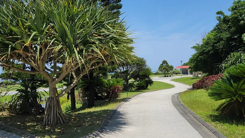 Curved path with tropical trees in Ocean Expo Park
