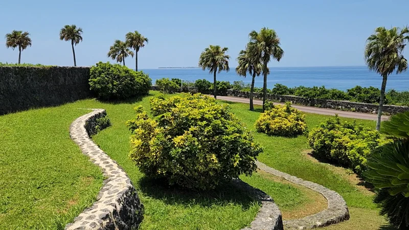 Seaside terraces with palm trees in Okinawa