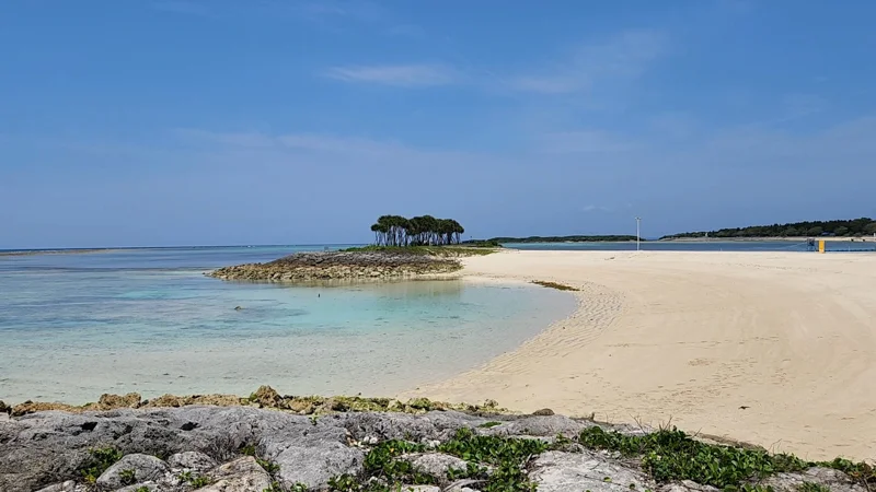Small tree-covered island at Ocean Expo Park beach