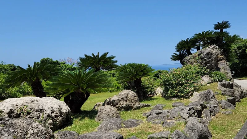 Tropical plants among rocks at Ocean Expo Park