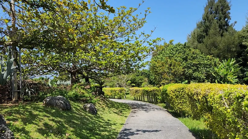 Shaded path through Ocean Expo Park gardens