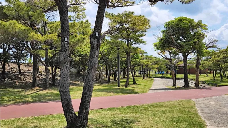 沖縄北中城運動公園の松に囲まれた赤い遊歩道