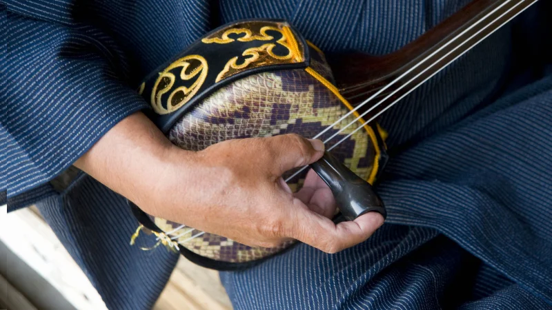 Hand playing the traditional Okinawan sanshin instrument