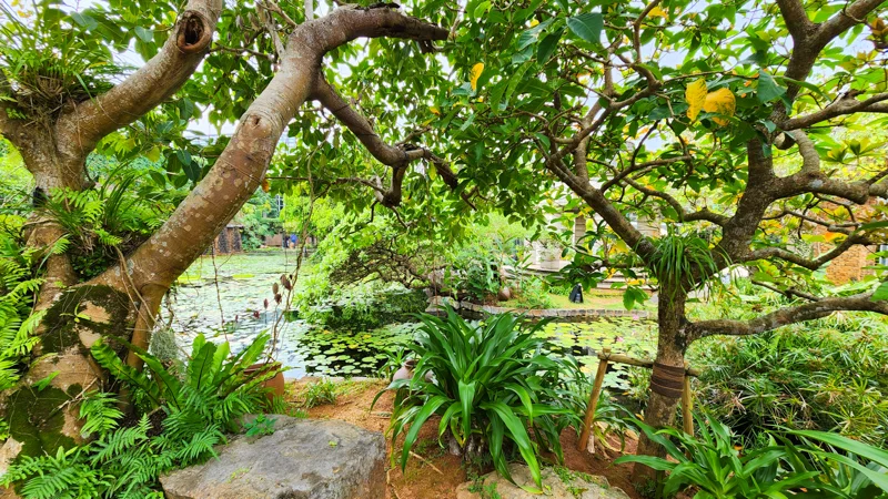 Tropical garden view with trees and pond at the Tropical Dream Center in Okinawa