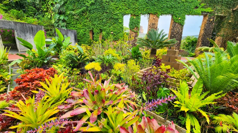 Tropical plants growing among stone ruins at the Tropical Dream Center in Okinawa