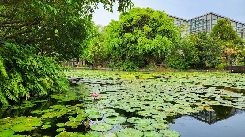 Lily pond with tropical greenhouse at the Tropical Dream Center in Okinawa