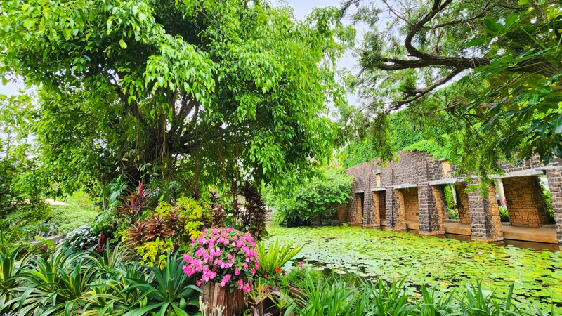 Colorful tropical flowers and pond with water lilies at the Tropical Dream Center in Okinawa