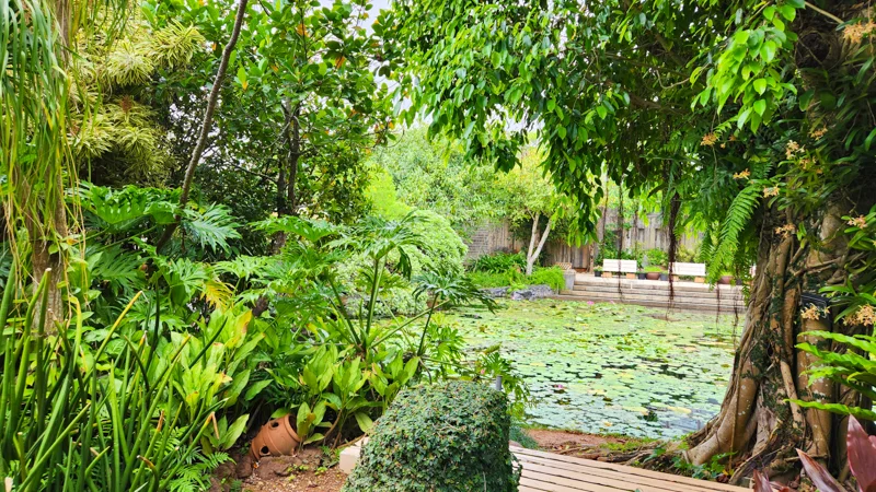 Shaded pond with tropical trees and benches at the Tropical Dream Center in Okinawa