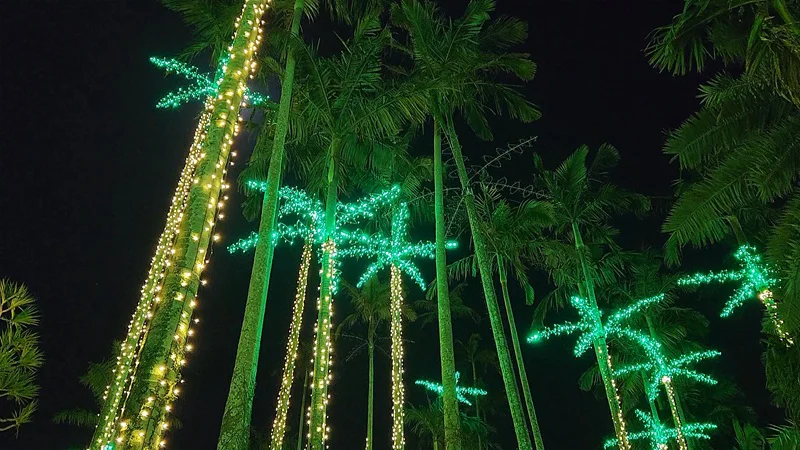 Palm trees lit up in green at night at the Southeast Botanical Garden in Okinawa