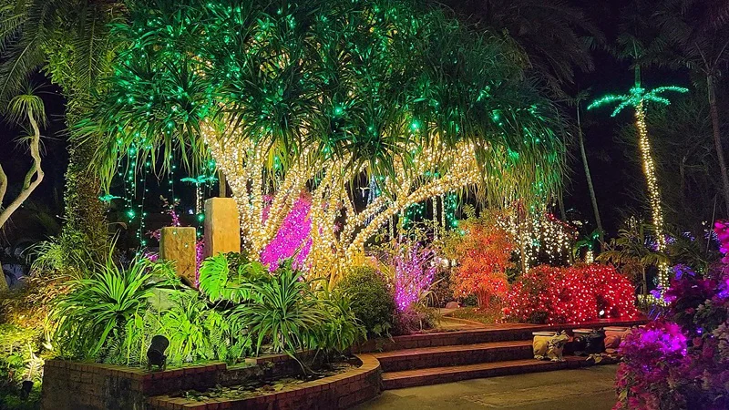 Tropical trees illuminated in green and pink at the Southeast Botanical Garden in Okinawa