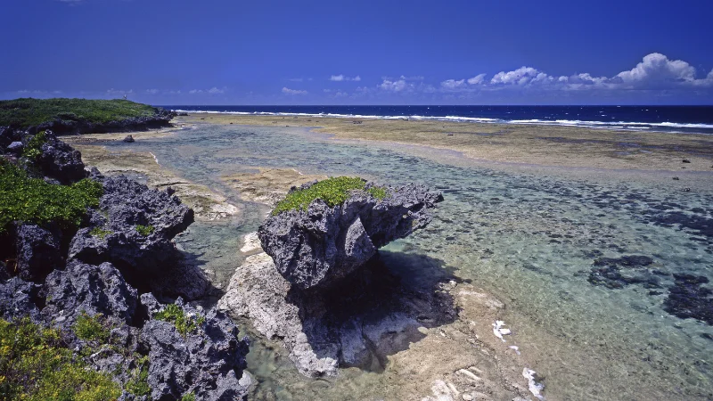 Rocky coast and coral reef at low tide in Okinawa