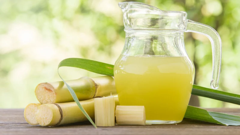 Jug of sugarcane juice with fresh stalks.