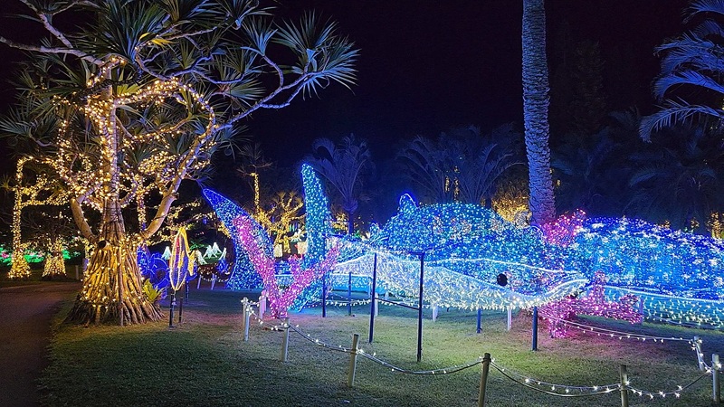 Light display featuring a whale shark at the Southeast Botanical Garden