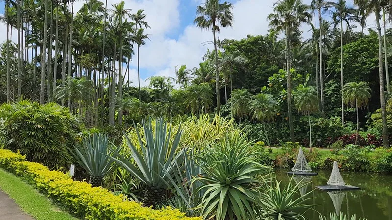 Tropical plants and palm trees around a pond at the Southeast Botanical Garden