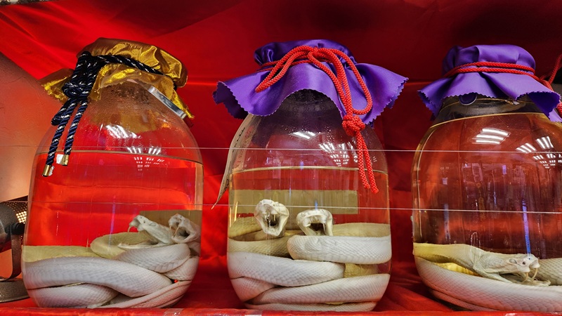 Large glass jars filled with white snakes preserved in alcohol, displayed in an Okinawan specialty shop.