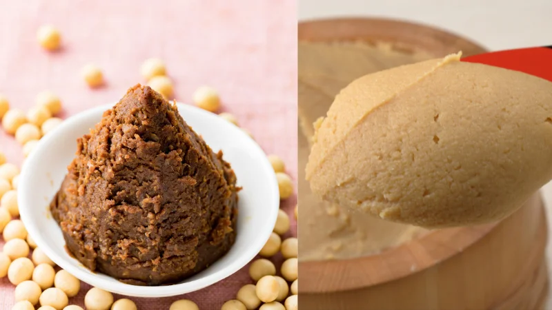 Bowl of red miso paste and spoonful of white miso paste