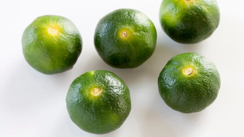 Green Okinawan shikuwasa fruits arranged on a white background