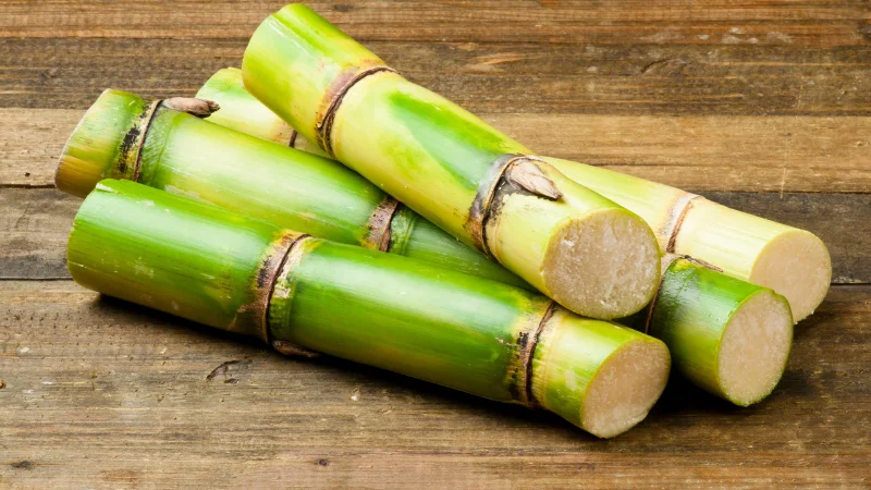 Whole sugarcane stalks displayed on a wooden surface