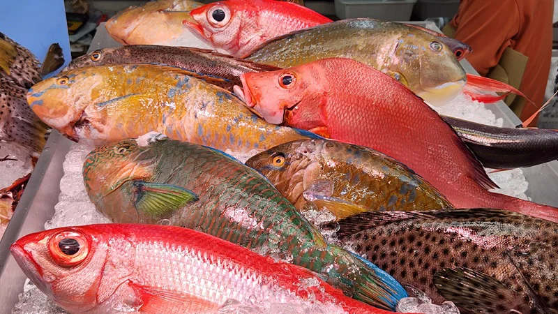 Colorful tropical fish on ice at an Okinawa seafood market