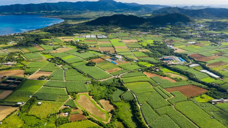 Farmland and mountains in the background on Ishigaki Island