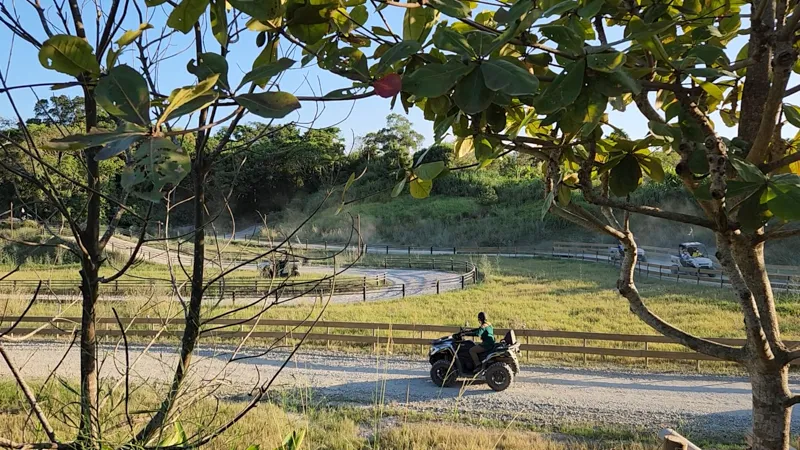 Off road buggy driving along a dirt trail surrounded by greenery at Junglia Okinawa