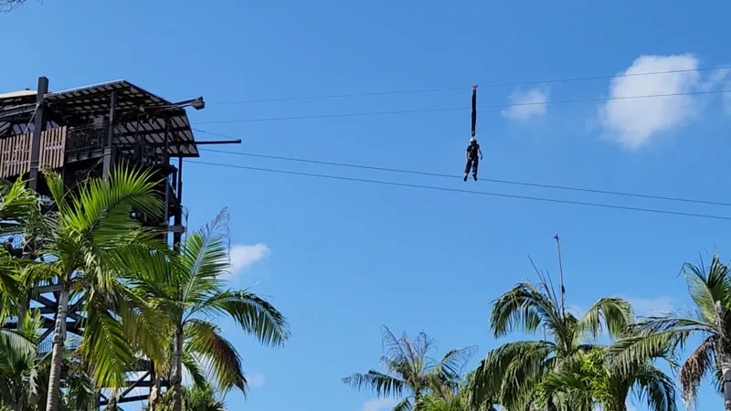Person riding the Bungle Glider zipline high above the palm trees at Junglia Okinawa