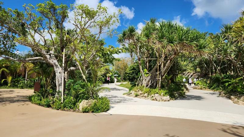 Curved walking paths surrounded by tropical trees and plants at Junglia Okinawa