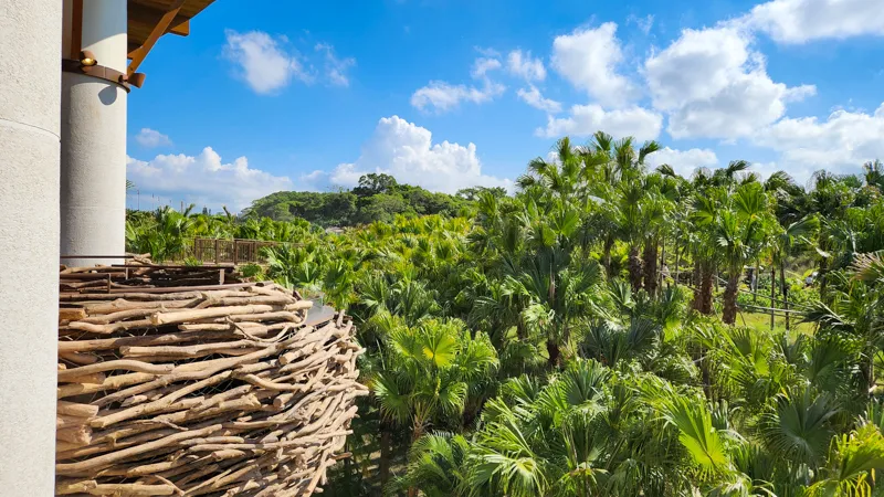 Wooden nest style terrace overlooking dense tropical greenery at Junglia Okinawa