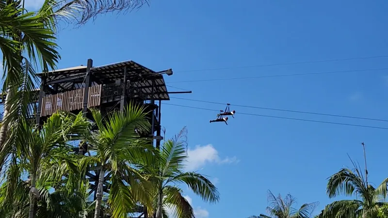 Rider on the Sky Phoenix zipline gliding from the launch tower at Junglia Okinawa