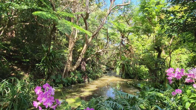 Natural pond surrounded by tropical forest at Bios no Oka Park in Okinawa