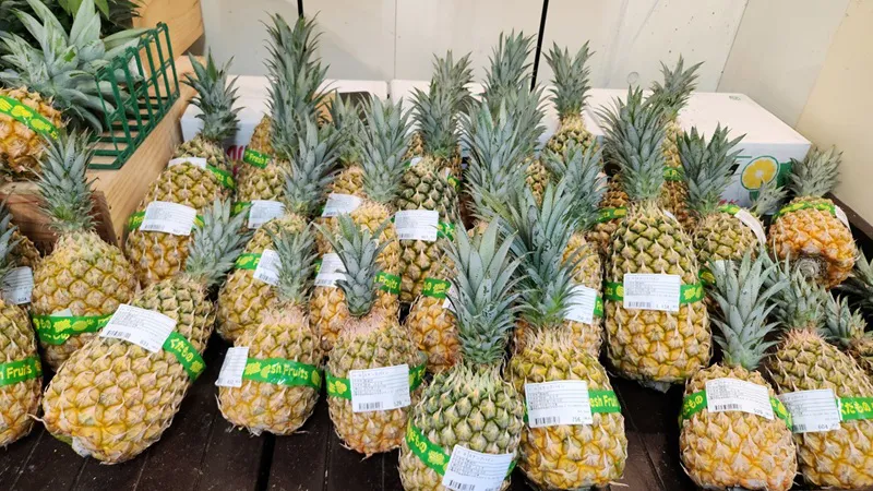 Pile of fresh pineapples with green crowns