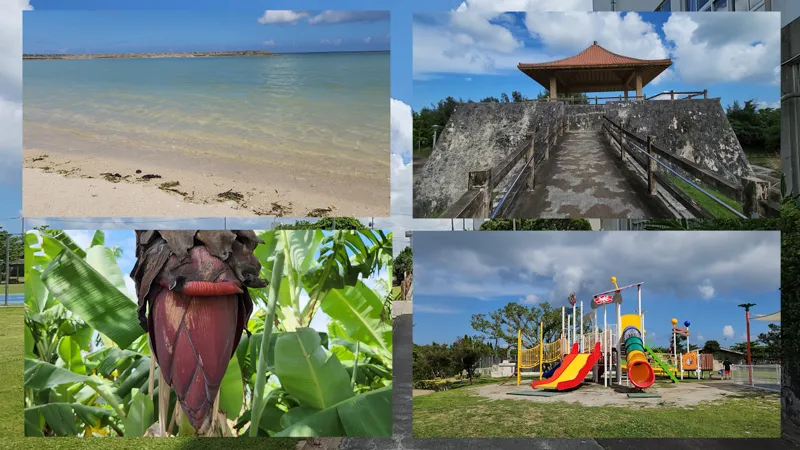 Collage showing the beach, observation pavilion, tropical vegetation, and playground at Yoshinoura Park in Okinawa