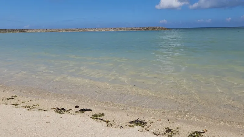 Clear shallow coastal waters near Yoshinoura Park in Okinawa